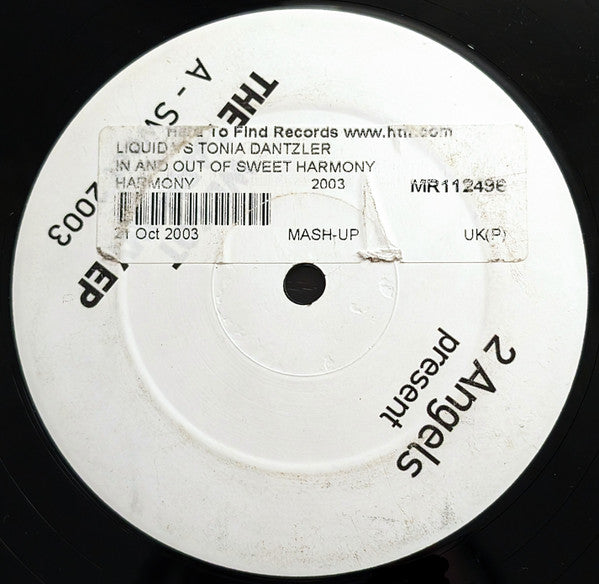 2 Angels (2) : We Got The Harmony EP (12", EP)