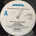 Exposé : What You Don't Know (12", Promo)