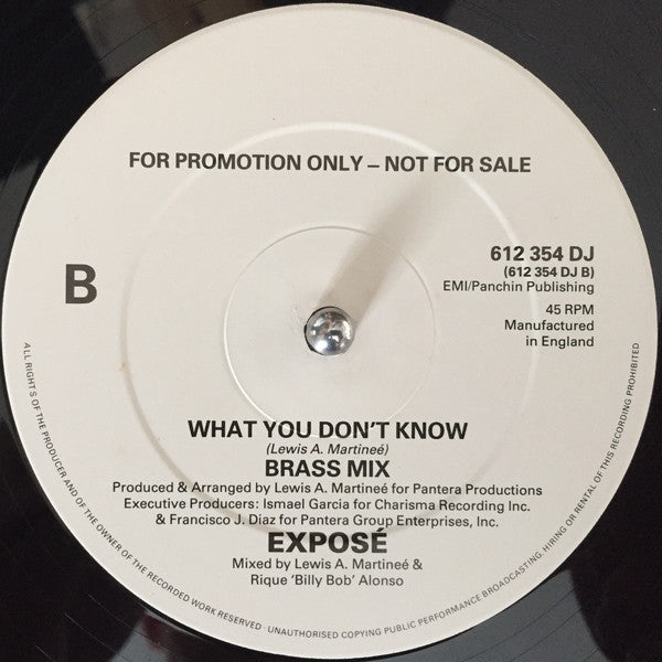 Exposé : What You Don't Know (12", Promo)
