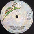 David Gates : Falling In Love Again (7", Single)