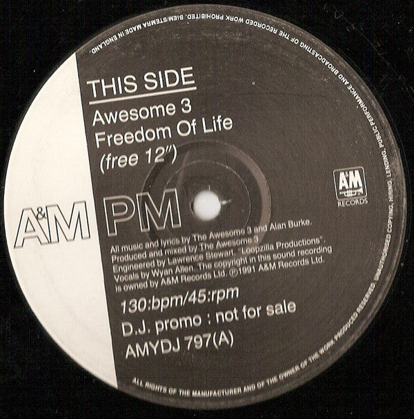 Awesome 3 : Freedom Of Life (12", Single, Promo)