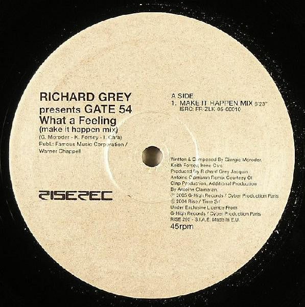 Richard Grey Presents Gate 54 : What A Feeling (Make It Happen Mix) (12")