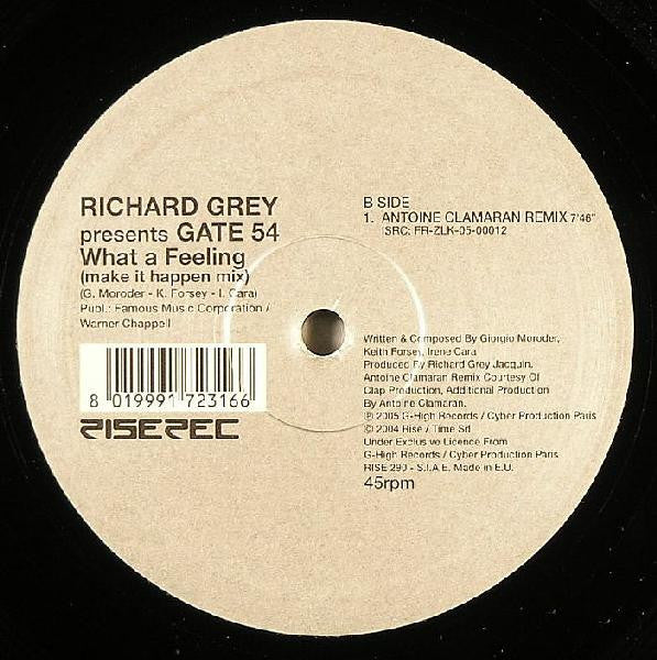 Richard Grey Presents Gate 54 : What A Feeling (Make It Happen Mix) (12")