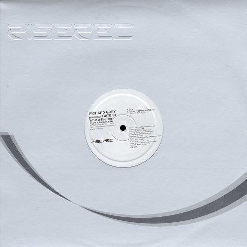 Richard Grey Presents Gate 54 : What A Feeling (Make It Happen Mix) (12")