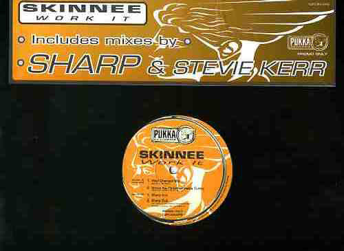 Skinnee : Work It (12", Promo)