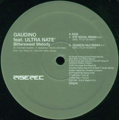 Alex Gaudino Feat. Ultra Naté : Bittersweet Melody (12")