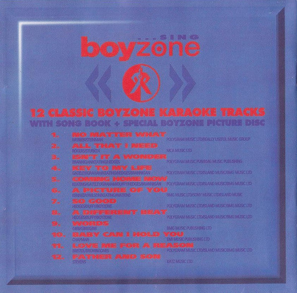 Unknown Artist : ...Sing Boyzone (CD, Enh)