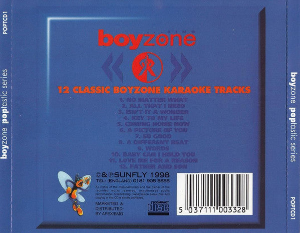 Unknown Artist : ...Sing Boyzone (CD, Enh)