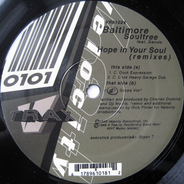 Baltimore Soul Tree Feat. Sandé : Hope In Your Soul (Remixes) (12")