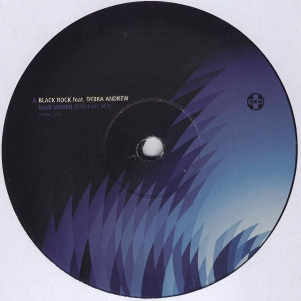 Various : Positiva WMC 2005 (2x12", Promo)
