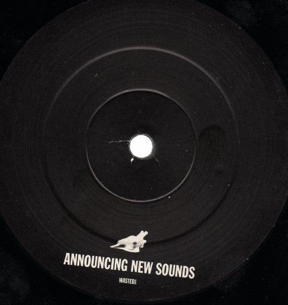 Echoboy : Wasted Spaces (12", S/Sided, Promo)