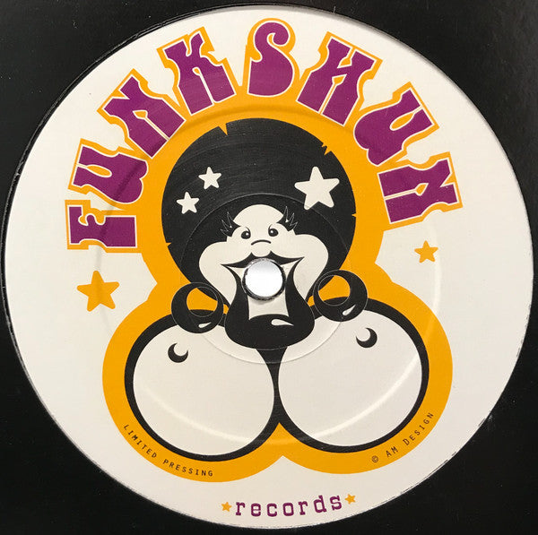 Funkshun : Please Don't Stop (The Disco) (12", Ltd)