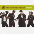The Brand New Heavies : Shelter (CD, Album)