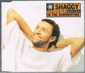Shaggy Featuring Rayvon : In The Summertime (CD, Single)