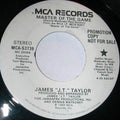 J.T. Taylor : Master Of The Game (7", Promo)