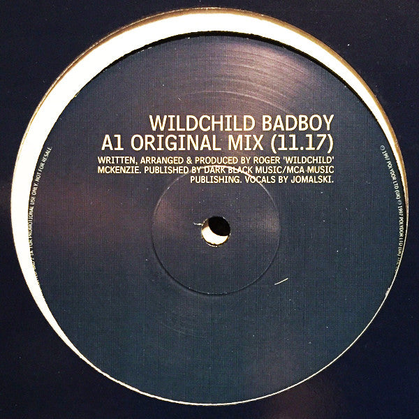 Wildchild : Bad Boy US Mixes (2x12", Single, Promo)