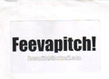 The Beginerz : Feevapitch! (12", S/Sided, W/Lbl)