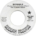 Flaming Ember : Westbound #9 / Why Don't You Stay (7")