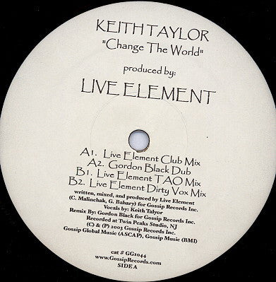 Keith Taylor : Change The World (12")