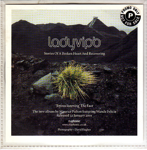 Ladyvipb : Stories Of A Broken Heart And Recovering (CD, Album, Promo)