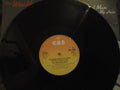 The Weather Girls : I'm Gonna Wash That Man Right Outa My Hair (12")