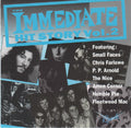 Various : The "Immediate" Hit Story, Vol. 2 (CD, Comp)