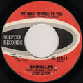 The Shirelles : My Heart Belongs To You / Love That Man (7", Single)