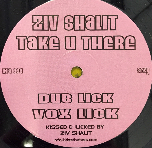 Ziv Shalit : Take U There (12")