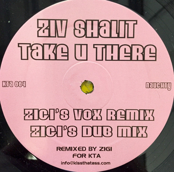 Ziv Shalit : Take U There (12")