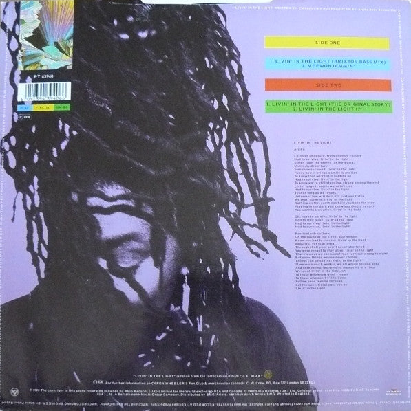 Caron Wheeler : Livin' In The Light (12", Single)