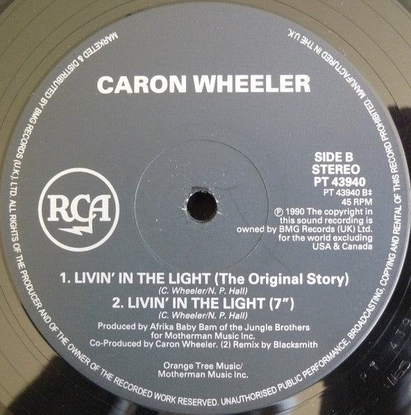 Caron Wheeler : Livin' In The Light (12", Single)