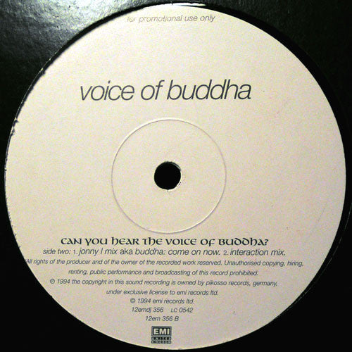 Voice Of Buddha : Can You Hear The Voice Of Buddha? (12", Promo)
