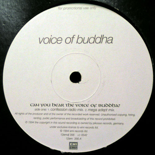 Voice Of Buddha : Can You Hear The Voice Of Buddha? (12", Promo)