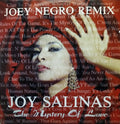 Joy Salinas : The Mystery Of Love (Joey Negro Remix) (12", Dua)