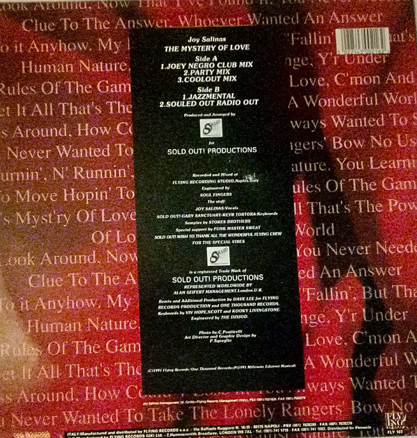 Joy Salinas : The Mystery Of Love (Joey Negro Remix) (12", Dua)