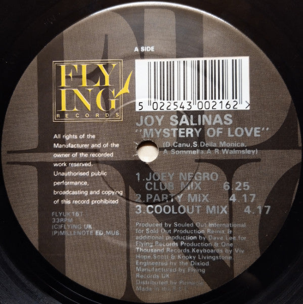 Joy Salinas : The Mystery Of Love (Joey Negro Remix) (12", Dua)