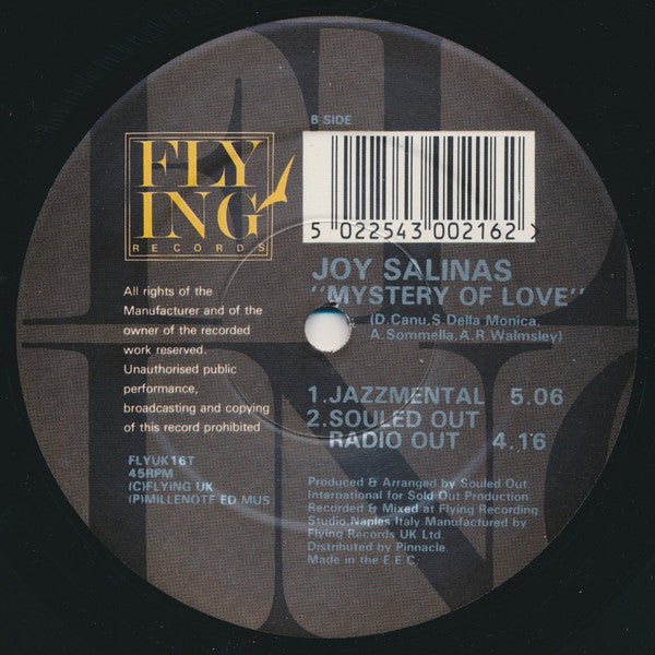 Joy Salinas : The Mystery Of Love (Joey Negro Remix) (12", Dua)