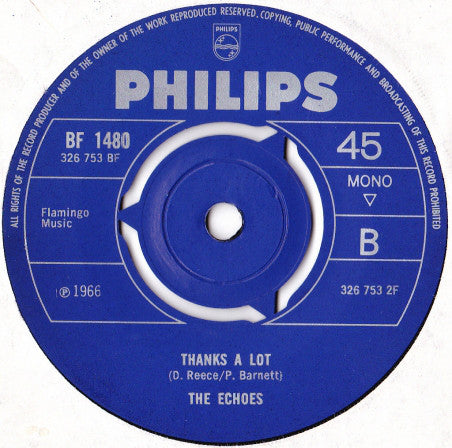 The Echoes : Got To Run (7", Mono)
