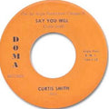Curtis Smith (4) : Say You Will / I Like Everything (7")