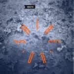 Sirens Of 7th Avenue : Shine On (12")