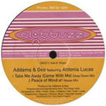 Addams & Gee : Take Me Away (Come With Me) (12")