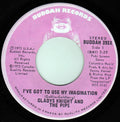 Gladys Knight And The Pips : I've Got To Use My Imagination / I Can See Clearly Now (7", Single)