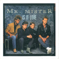Mr. Mister : Is It Love (7", Single)
