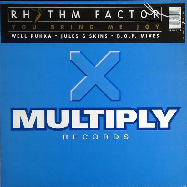 Rhythm Factor : You Bring Me Joy (12")