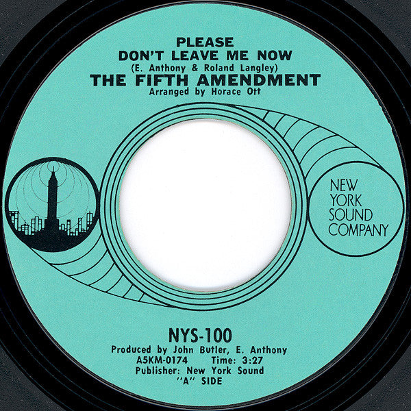The Fifth Amendment : Please Don't Leave Me Now (7", Single, Styrene)