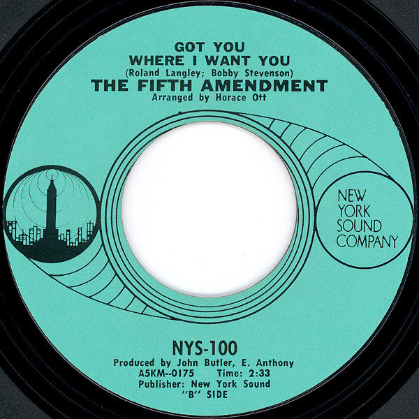 The Fifth Amendment : Please Don't Leave Me Now (7", Single, Styrene)