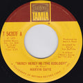 Marvin Gaye : Mercy Mercy Me (The Ecology) (7", Single, San)
