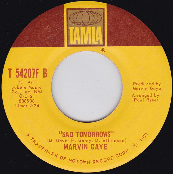 Marvin Gaye : Mercy Mercy Me (The Ecology) (7", Single, San)