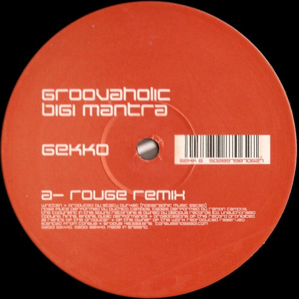 Groovaholic : Bigi Mantra (12")