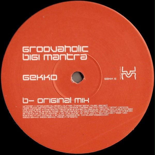 Groovaholic : Bigi Mantra (12")